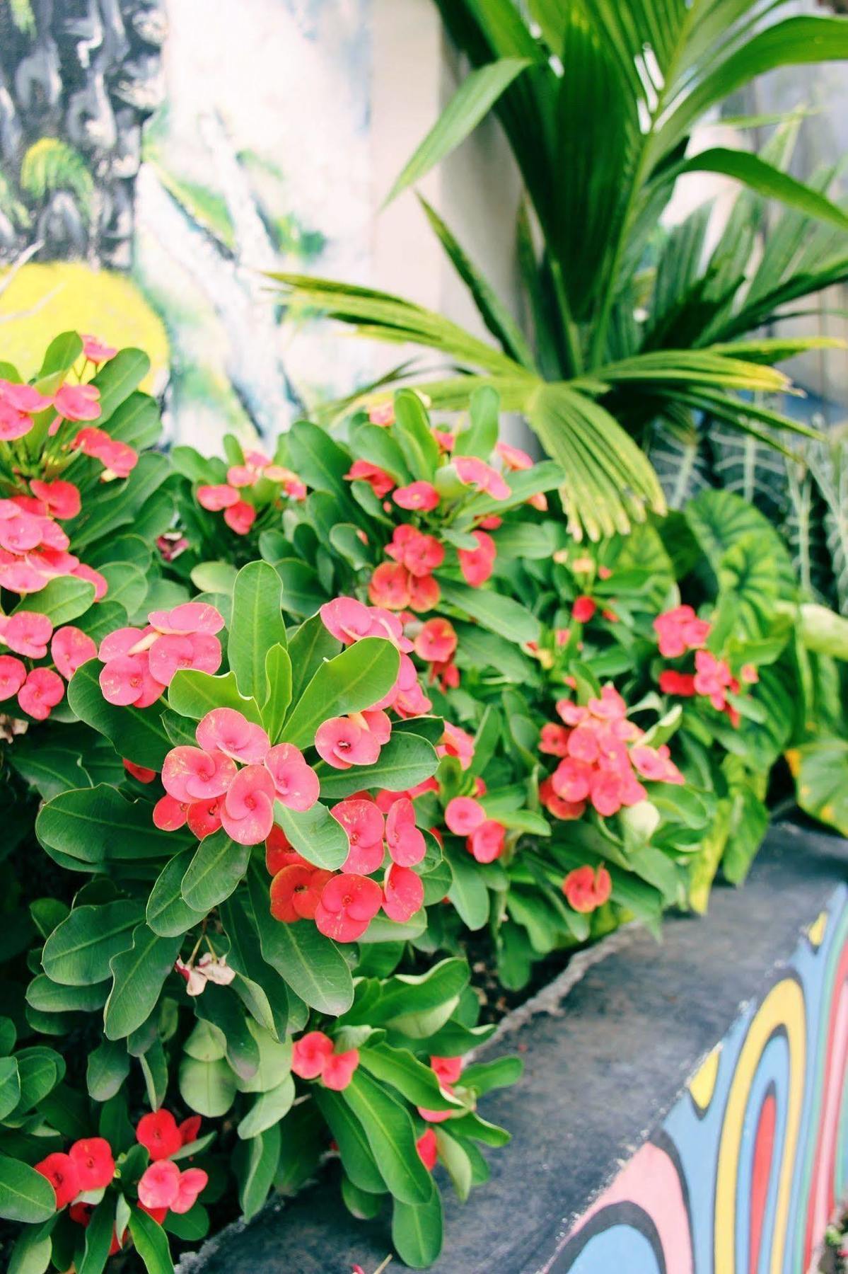 Citi Serviced Apartments And Motel - Korobosea Boroko ภายนอก รูปภาพ